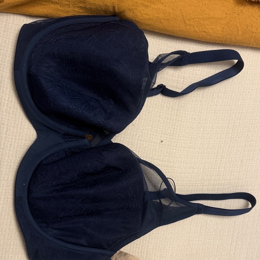 Sophisticated Midnight Blue Lace Bra